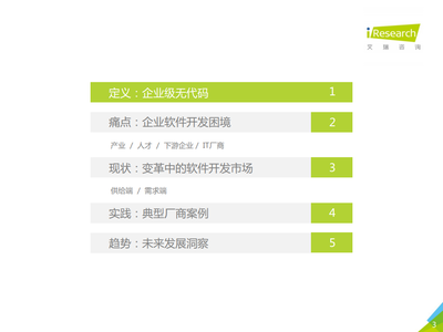 2021年中國企業(yè)級(jí)無代碼白皮書 信息技術(shù)咨詢服務(wù)的新篇章