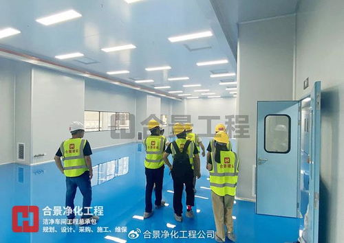 金山高新區生物醫藥新工廠投用 總投資3.5億元，合景凈化工程公司引領行業新篇章