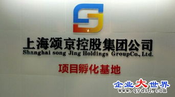 頌京控股集團旗下網(wǎng)絡科技公司 立足上海，引領(lǐng)數(shù)字化服務新浪潮