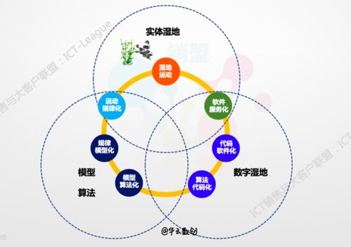 企業的數字化轉型 數據、算法、互聯網服務與工業互聯網數據服務的核心探討